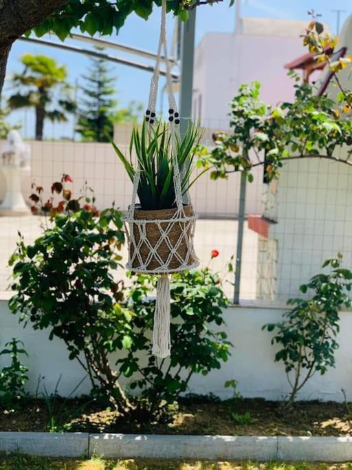 Mom'S Seaside Home Kariani Exterior photo