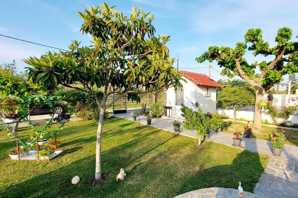 Mom'S Seaside Home Kariani Exterior photo